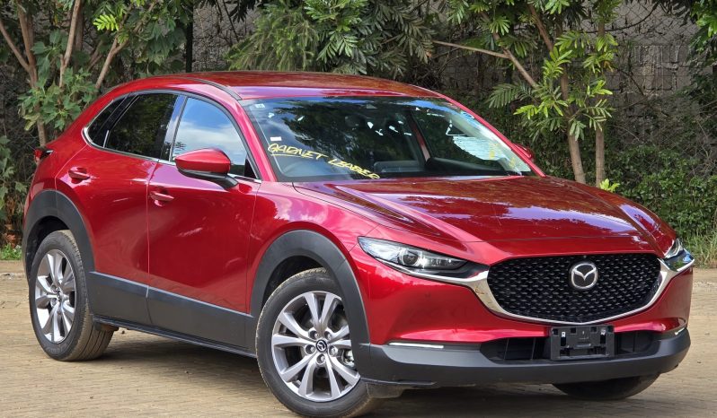 
								Mazda CX30 full									