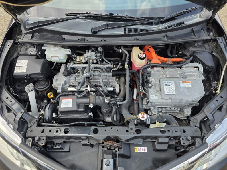 
								Toyota Axio full									