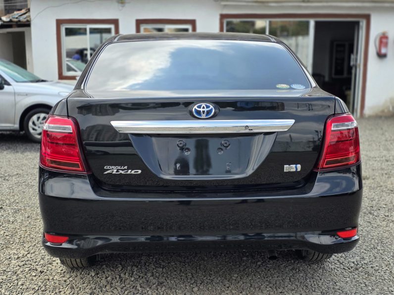 
								Toyota Axio full									