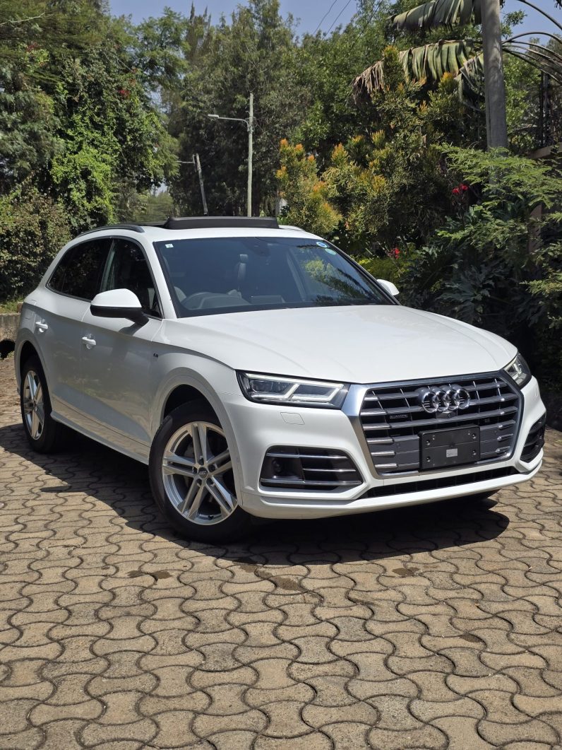 
								Audi Q5 full									