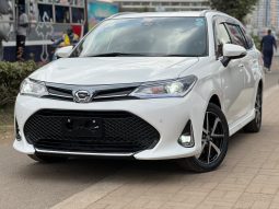 Toyota Fielder WXB
