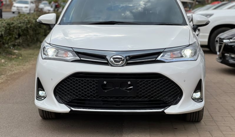
								Toyota Fielder WXB full									