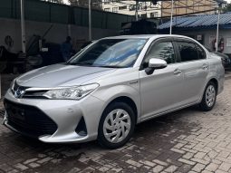 Toyota Axio