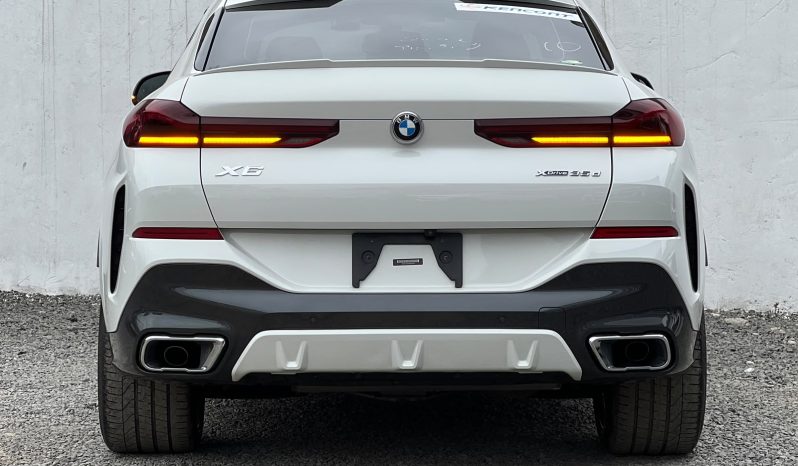 
								BMW X6 full									