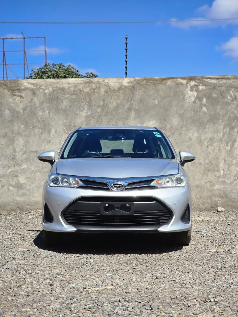 
								Toyota Fielder full									