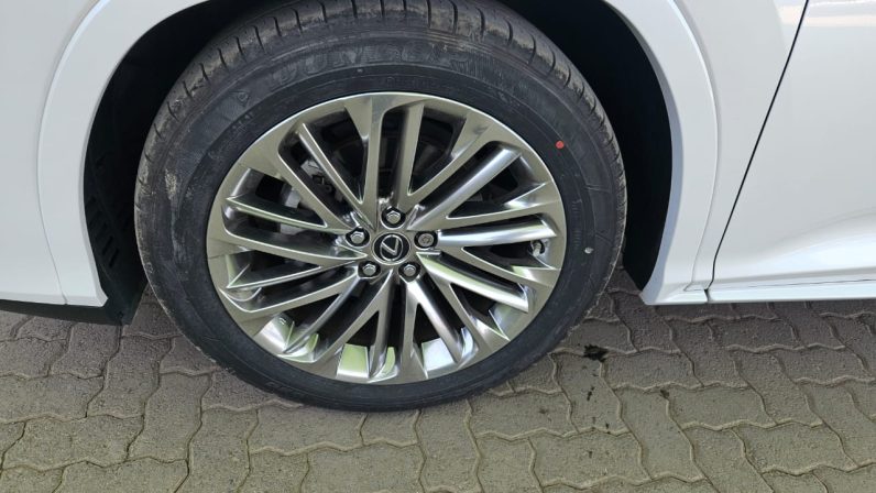 
								Lexus RX300T full									