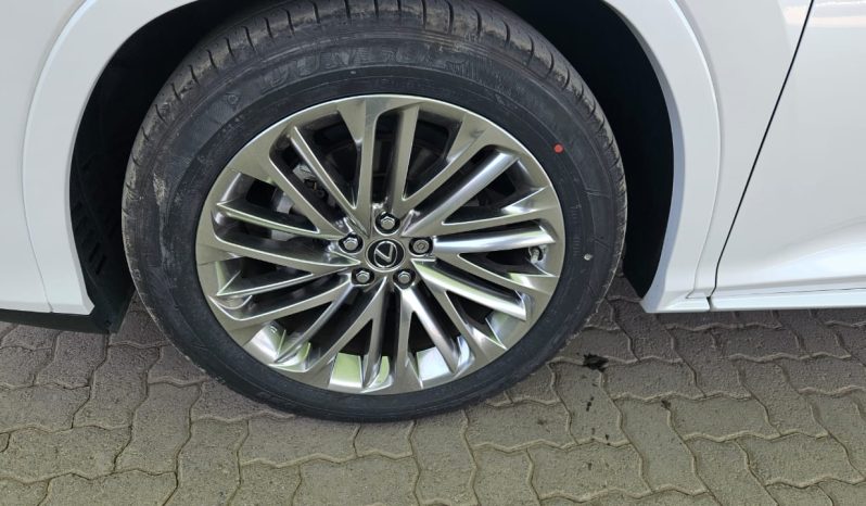 
								Lexus RX300T full									