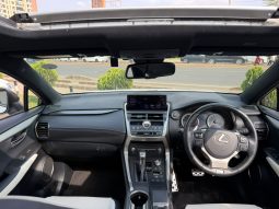 Lexus NX300