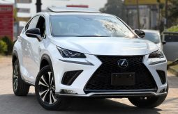 Lexus NX300