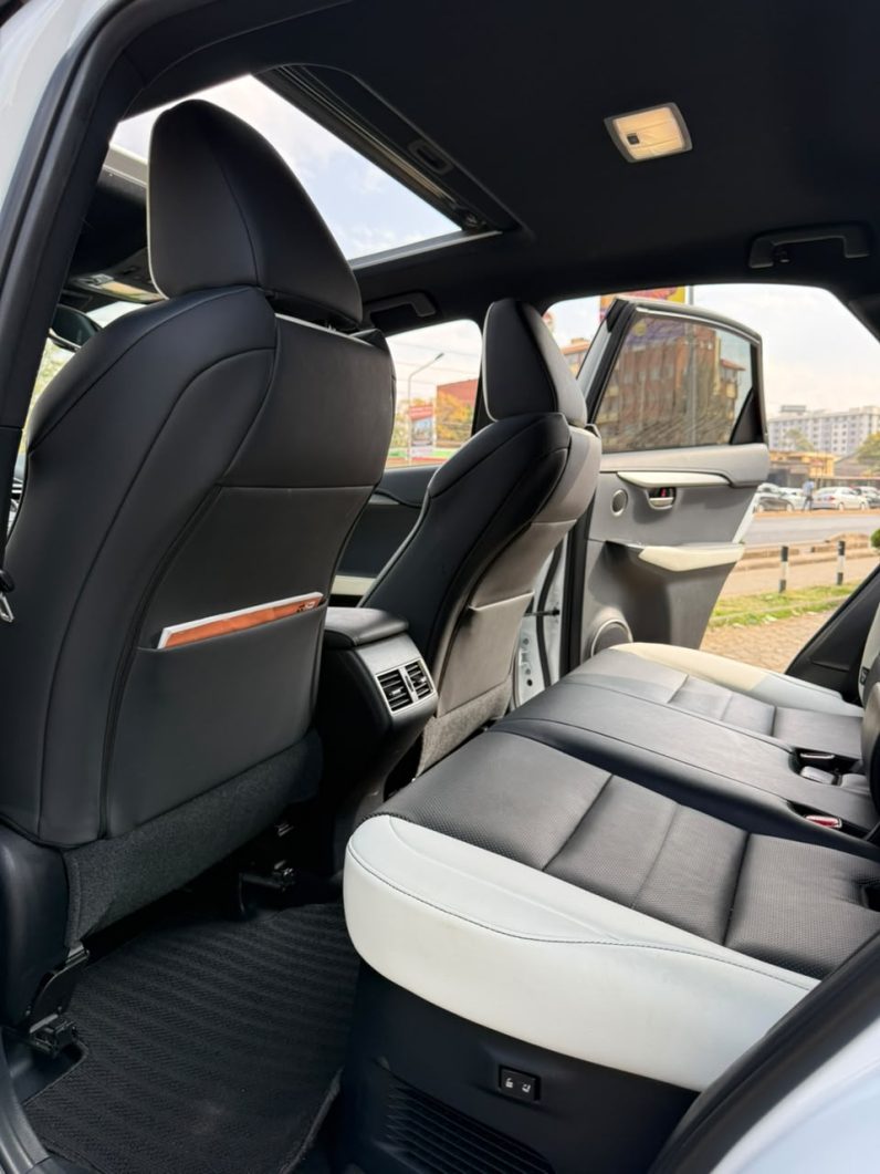 
								Lexus NX300 full									
