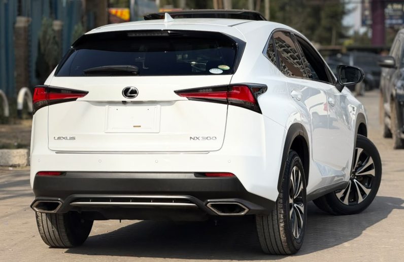 
								Lexus NX300 full									