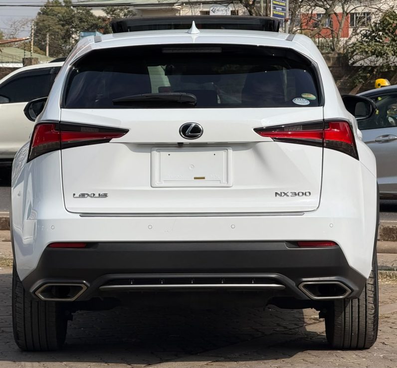 
								Lexus NX300 full									