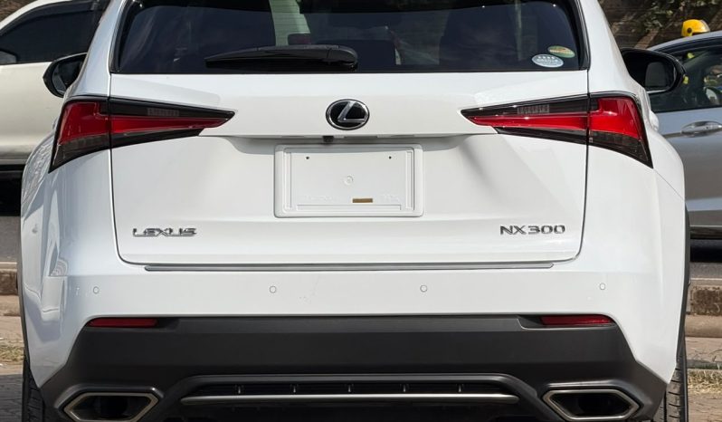 
								Lexus NX300 full									