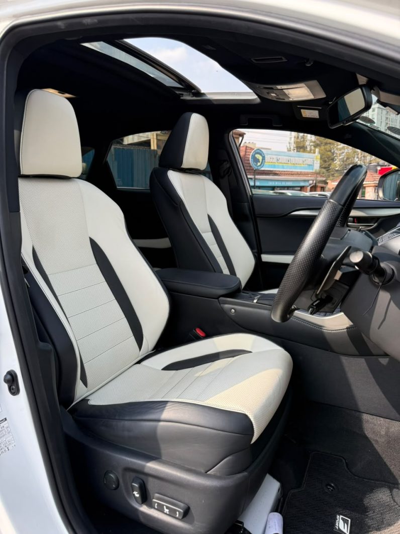 
								Lexus NX300 full									