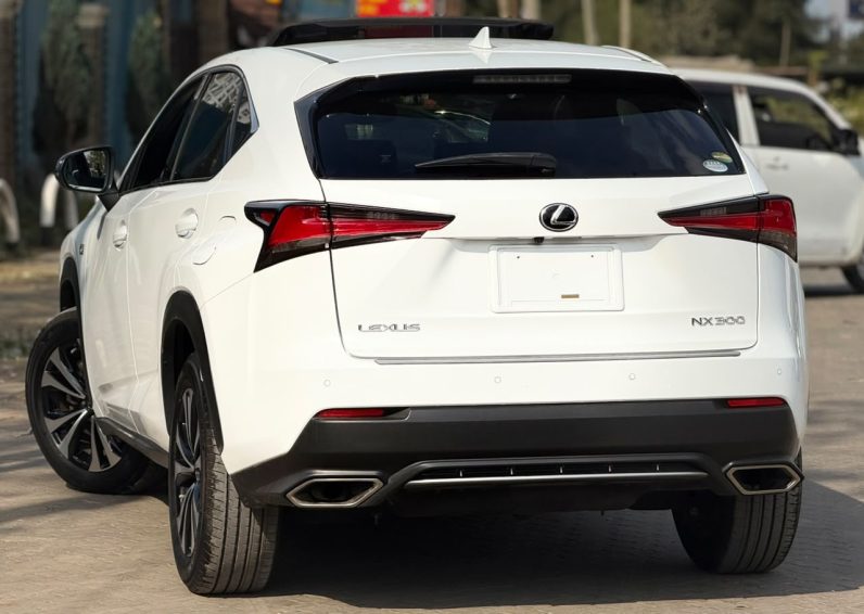 
								Lexus NX300 full									