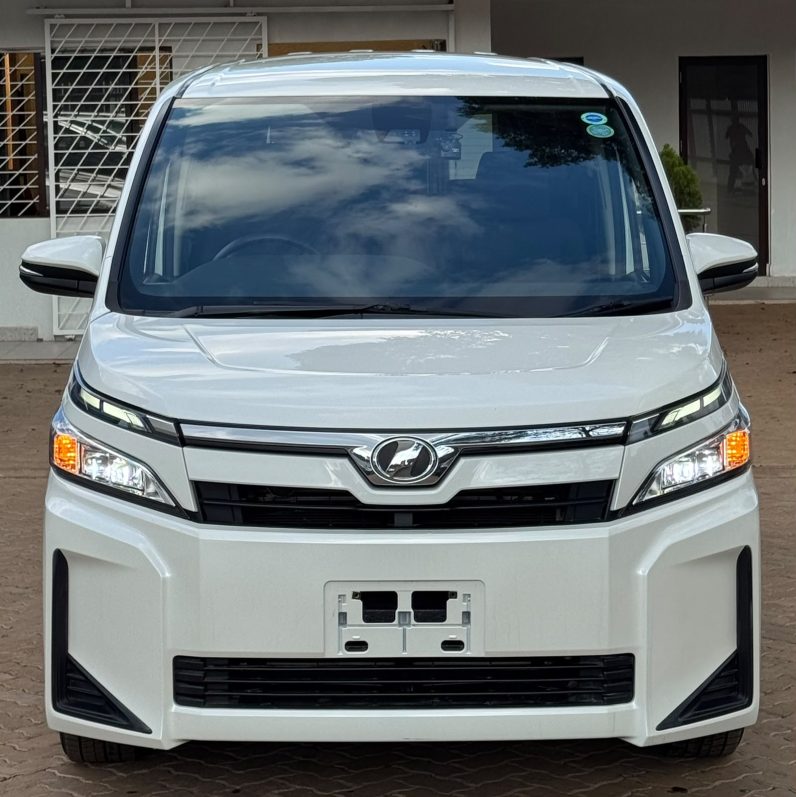 
								Toyota Voxy full									