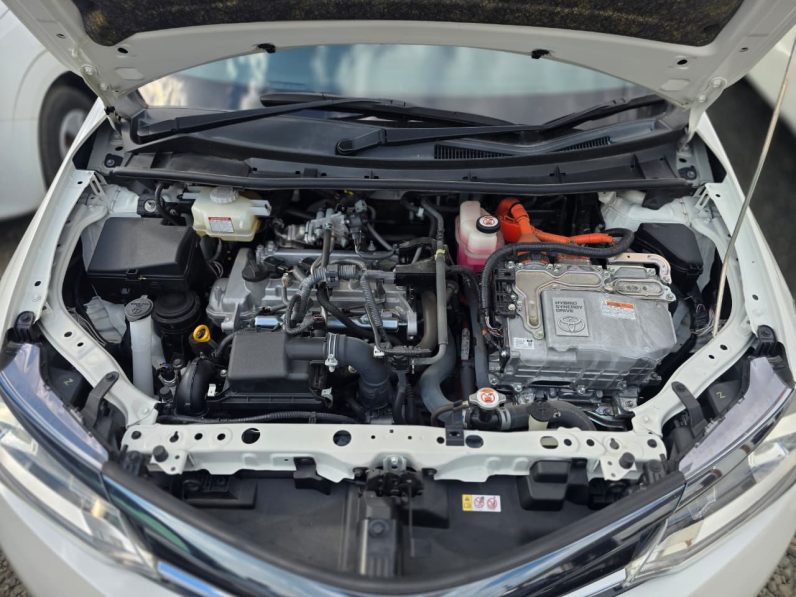 
								Toyota Fielder WXB full									