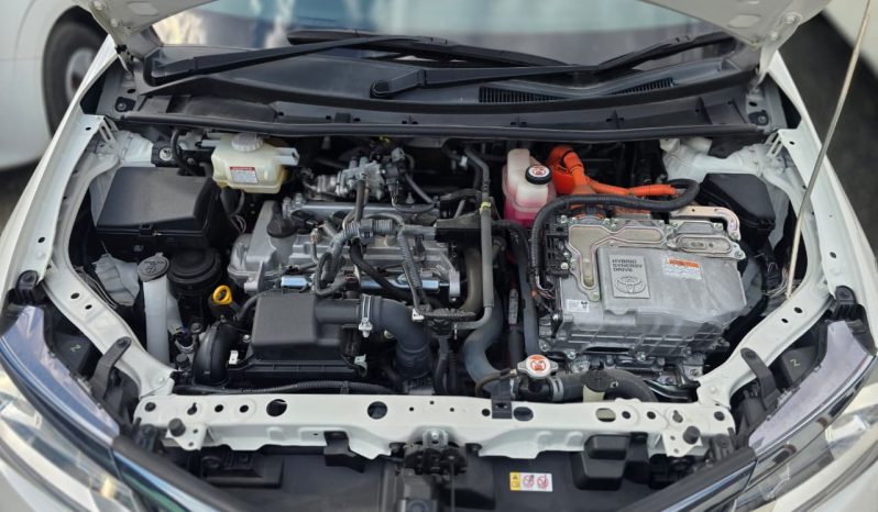 
								Toyota Fielder WXB full									