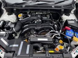 Subaru Forester X-Break