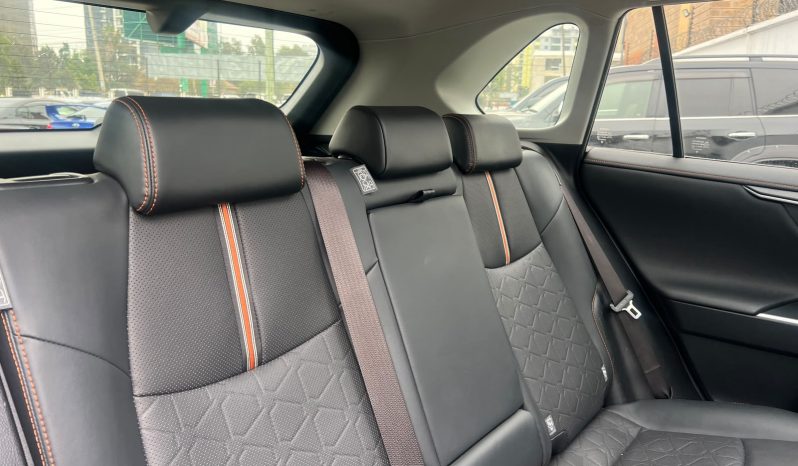 
								Toyota Rav4 Adventure full									