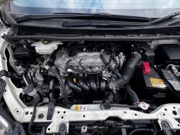 Toyota Noah WxB