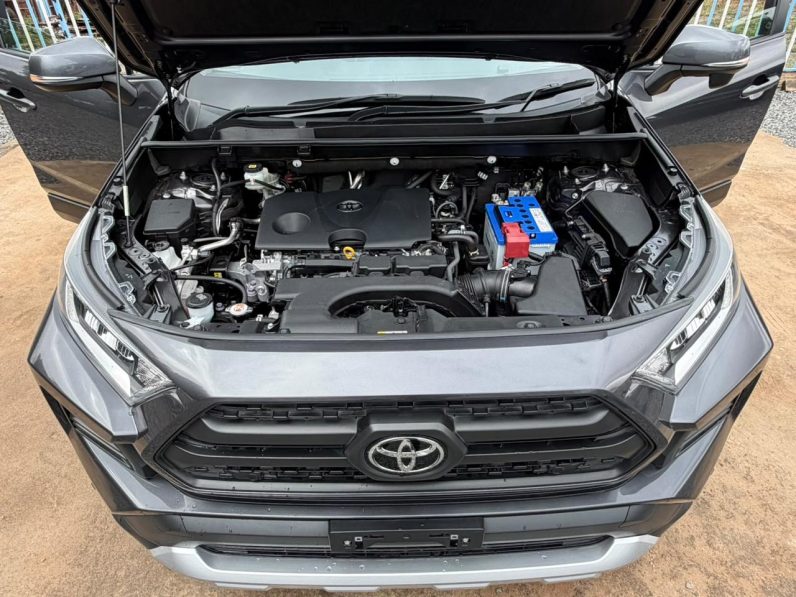
								Toyota Rav4 Adventure full									
