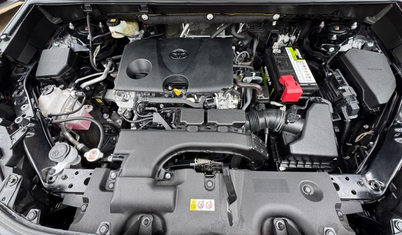 
								Toyota Rav4 Adventure full									