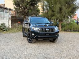 Toyota landcruiser prado TX