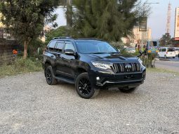 Toyota landcruiser prado TX
