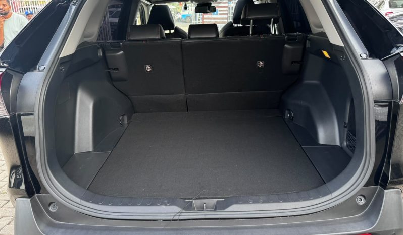
								Toyota Rav4 Adventure full									