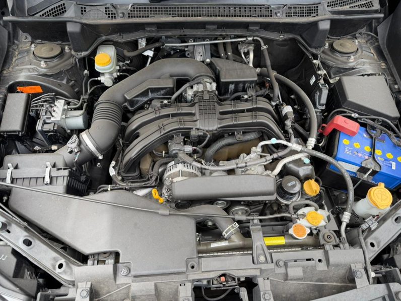 
								Subaru Forester full									
