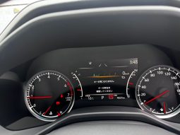 land cruiser LC300 ZX
