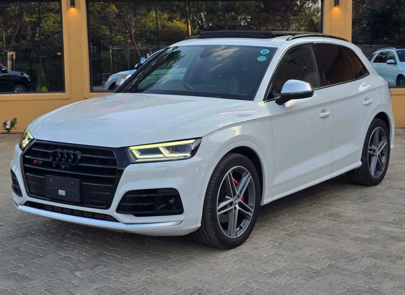 
								AUDI SQ5 full									