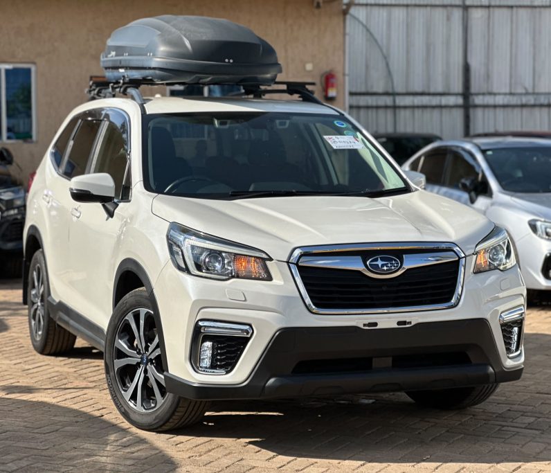 
								SUBARU FORESTER SK9 full									