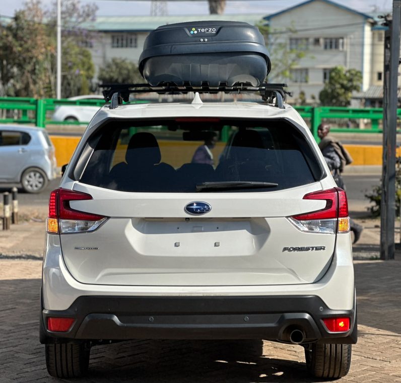 
								SUBARU FORESTER SK9 full									