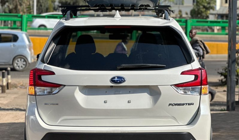 
								SUBARU FORESTER SK9 full									