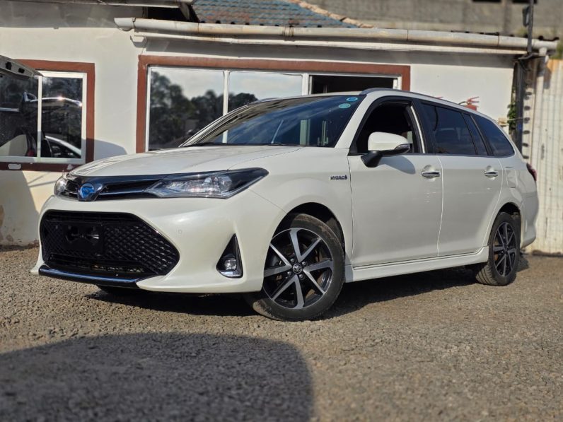 
								Toyota Fielder WXB full									