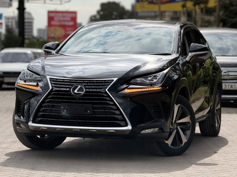 
								Lexus NX300 full									