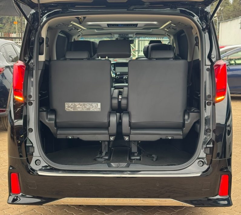 
								Toyota Alphard full									