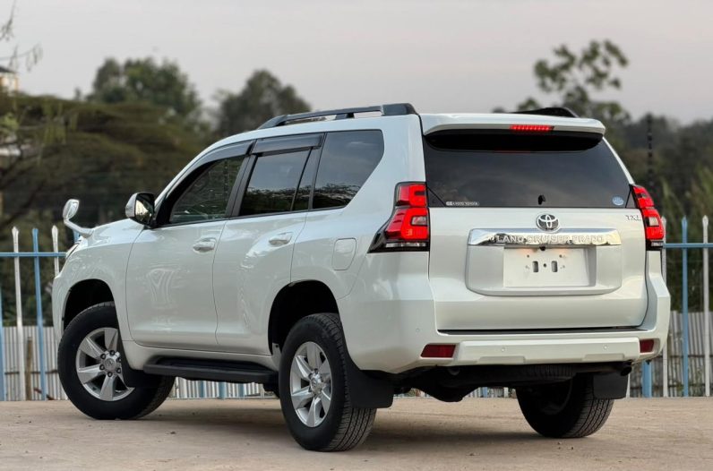 
								Toyota Land Cruiser Prado TX-L full									