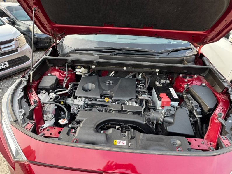 
								Toyota Rav 4 full									