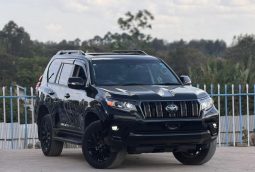 Toyota Land Cruiser Prado TXL
