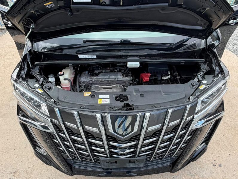 
								Toyota Alphard full									