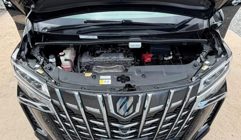 
								Toyota Alphard full									