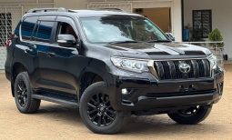TOYOTA PRADO TX-L