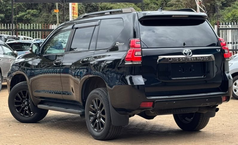 
								TOYOTA PRADO TX-L full									
