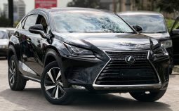 Lexus NX300