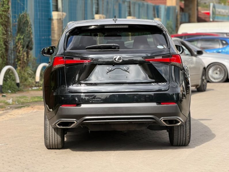 
								Lexus NX300 full									